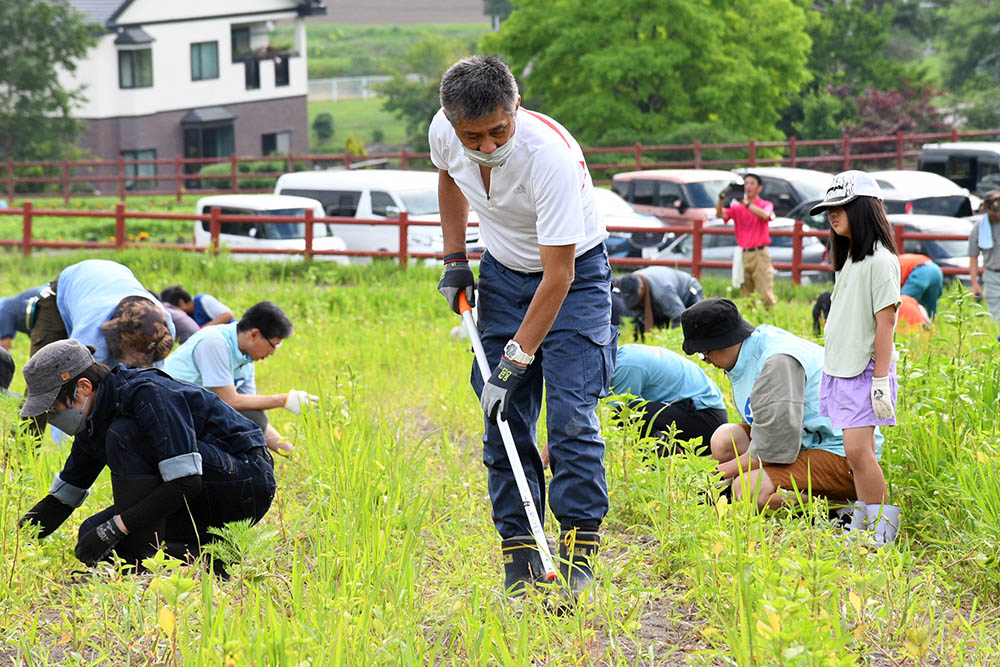 コスモス園草取り作業５