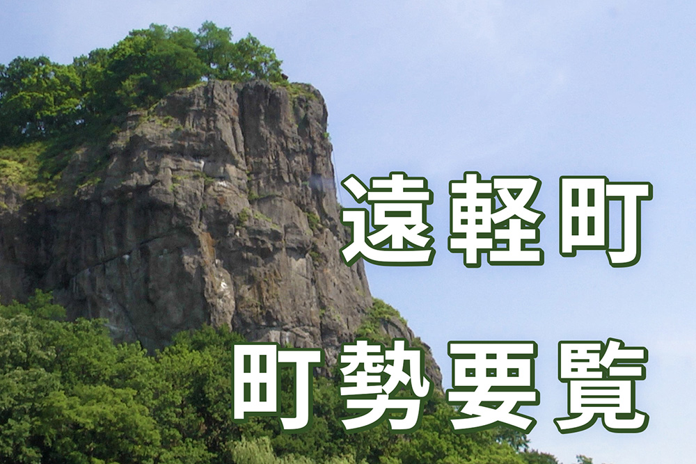 町勢要覧